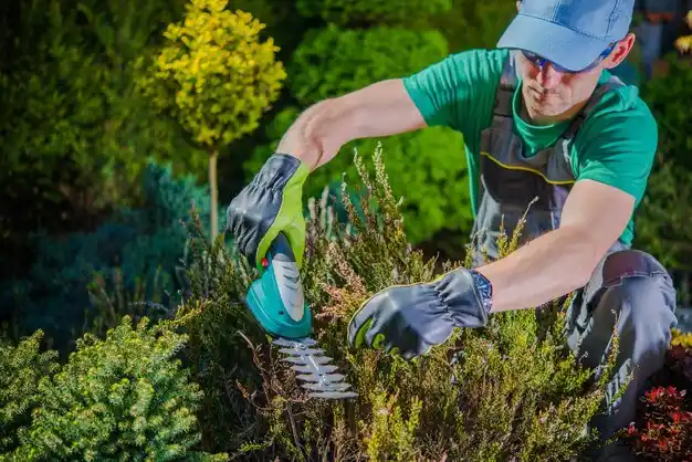 landscaping services Bel-Nor